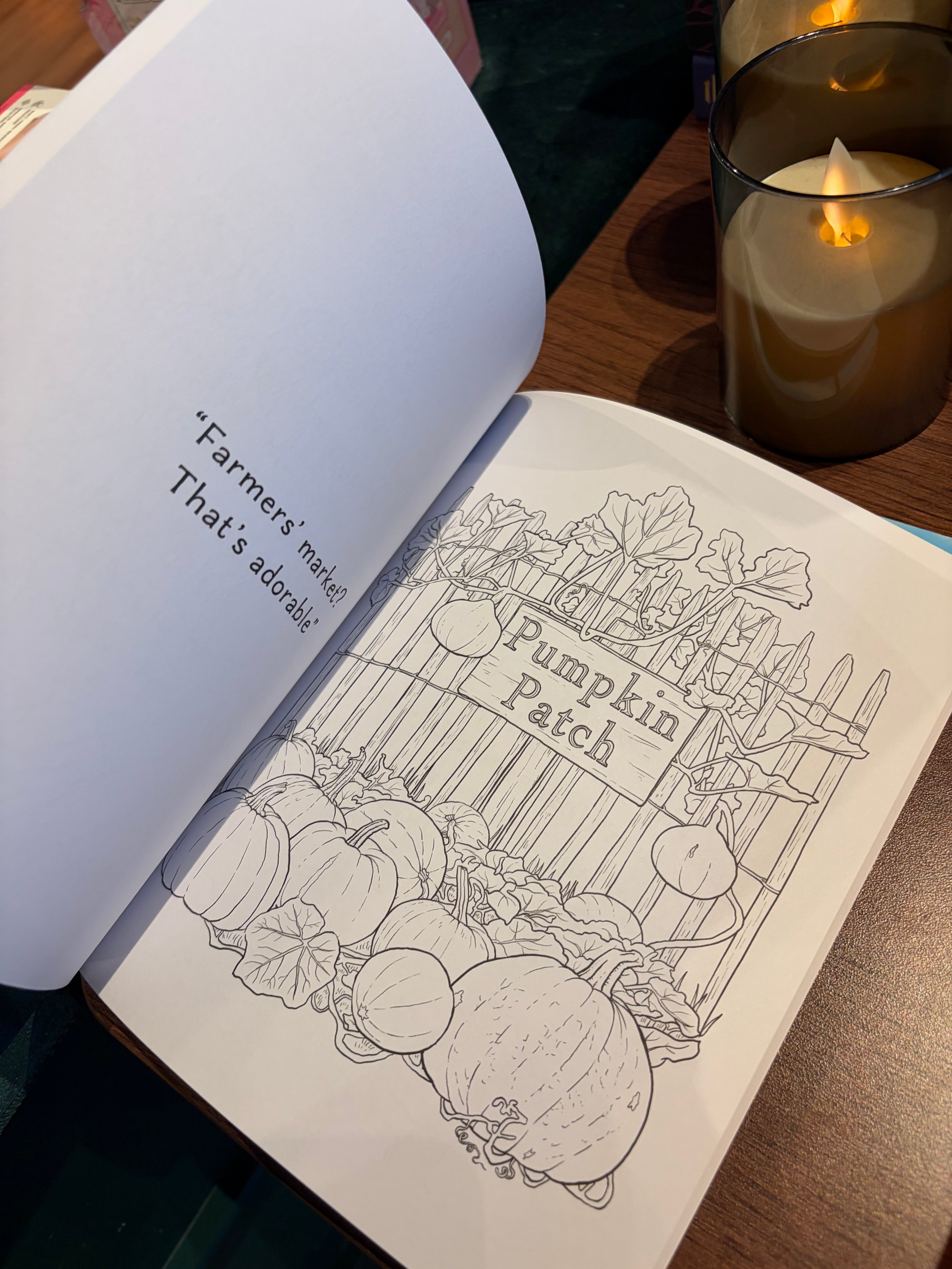 The Pumpkin Spice Café Coloring Book by Laurie Gilmore