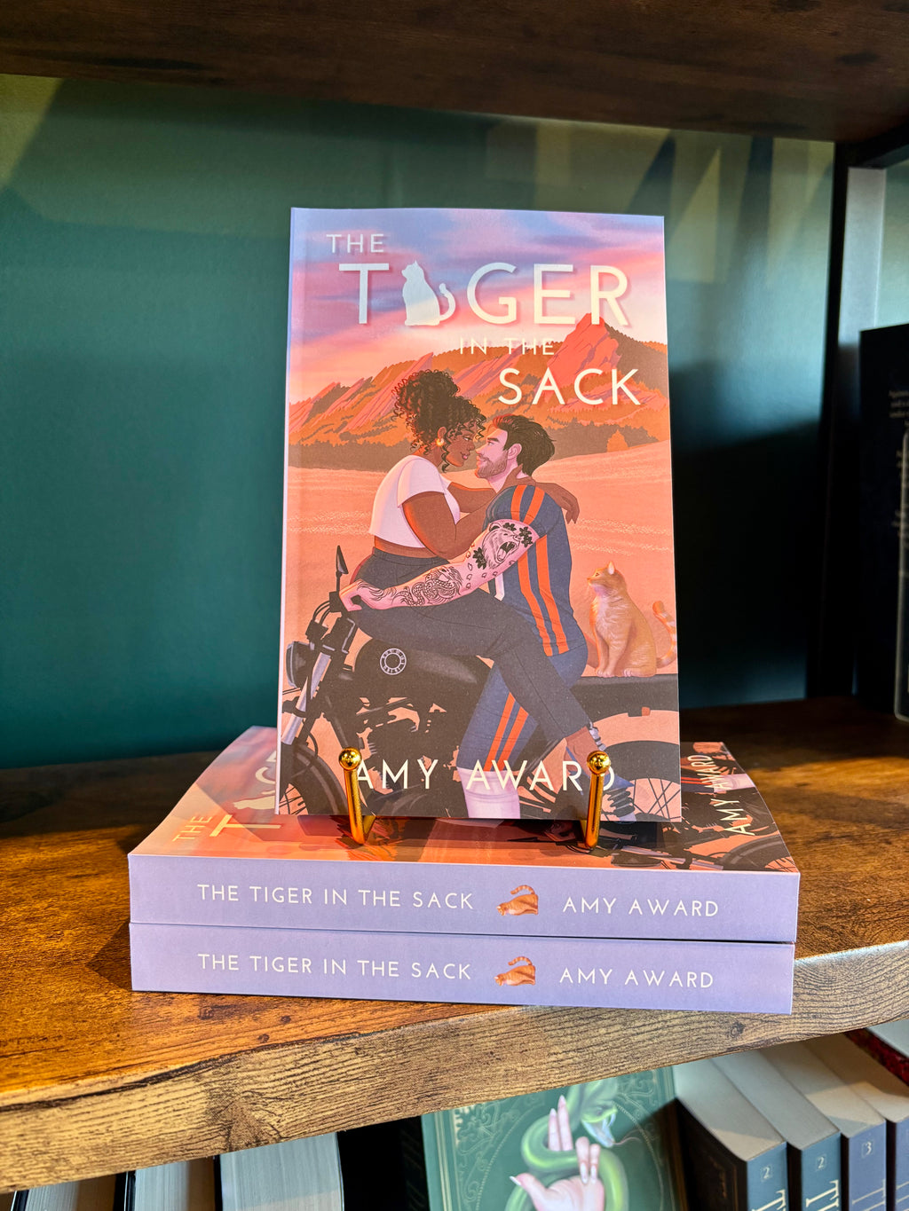 The Tiger in the Sack by Amy Award