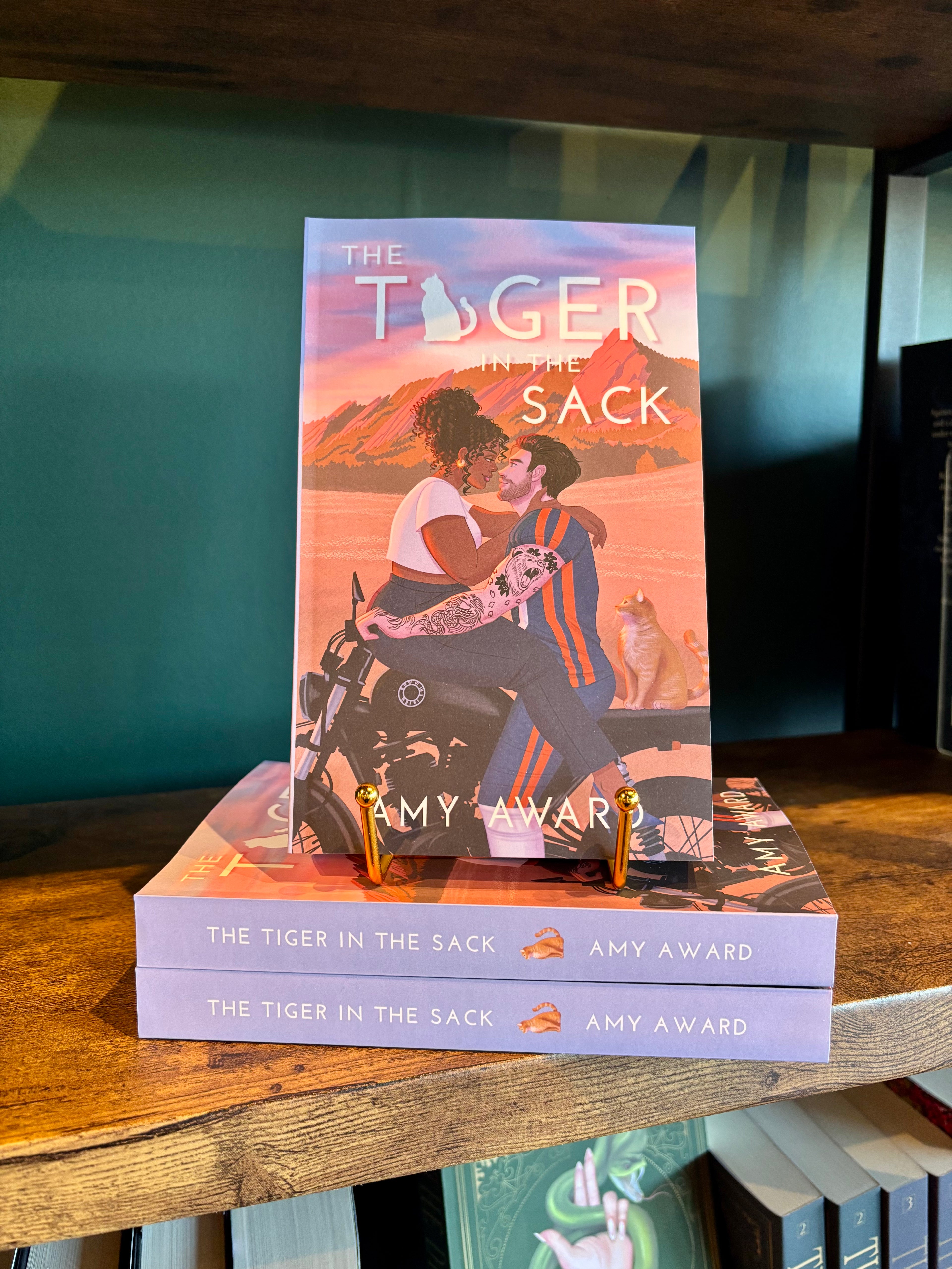 The Tiger in the Sack by Amy Award
