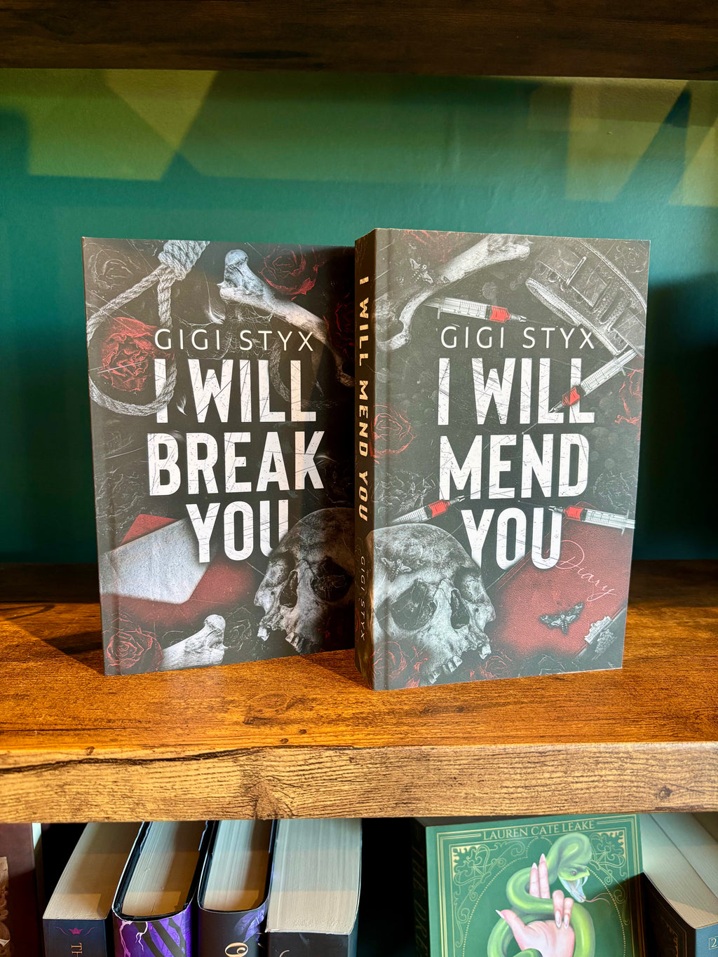 I Will Mend You by Gigi Styx