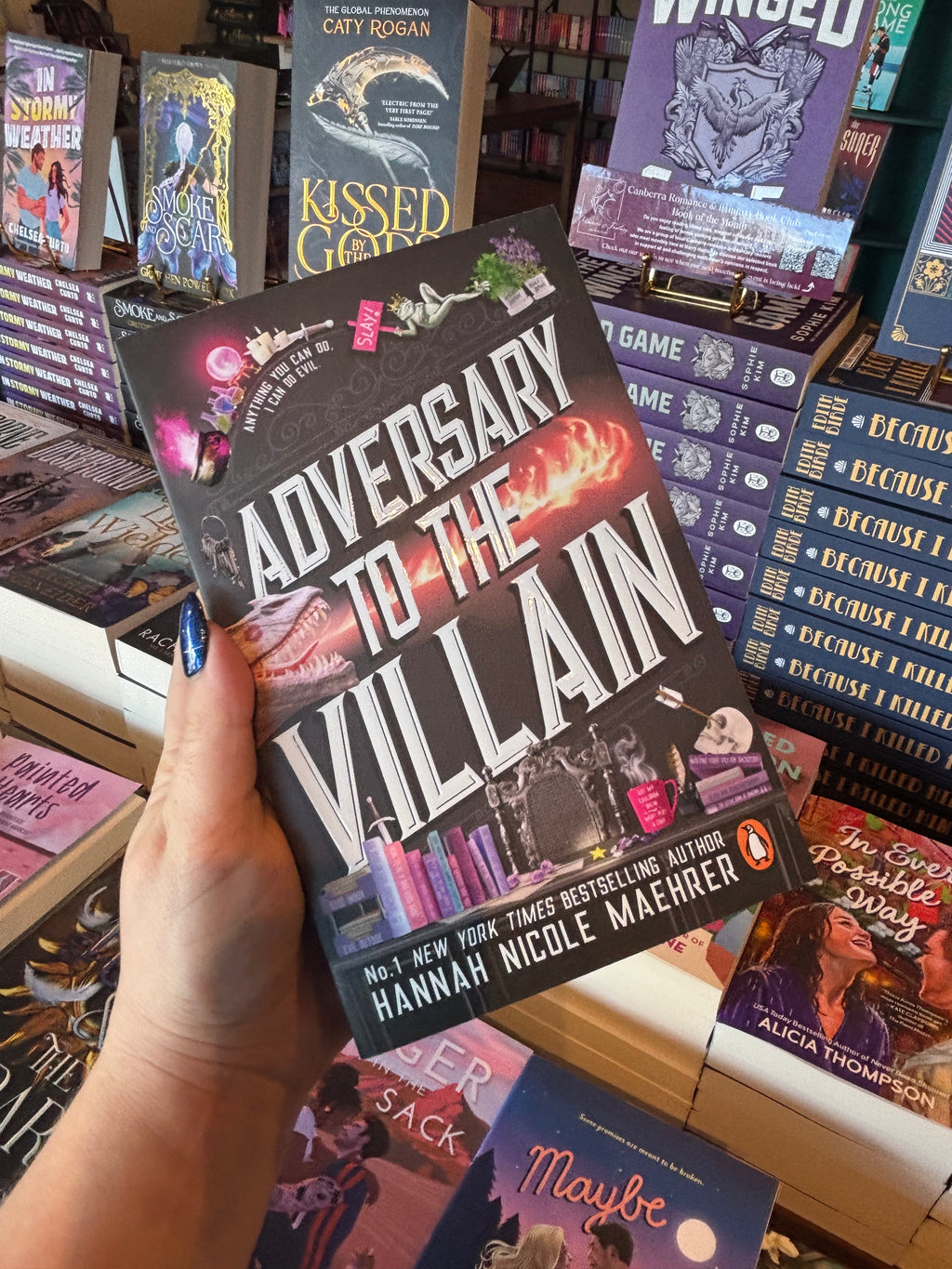 Adversary to the Villain by Hannah Nicole Maehrer