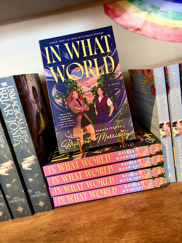 A stack of copies of the book 'In What World' by Bridget Morrissey stands upright on a wooden shelf, surrounded by other books. The cover features a dark purple background with a colorful illustration of two women, and the title is written in large yellow letters.