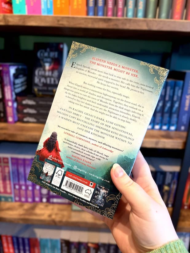 A hand holding the back cover of the book 'One Dark Window' by Rachel Gillig, set against a blurred background of a bookshelf filled with colorful books.