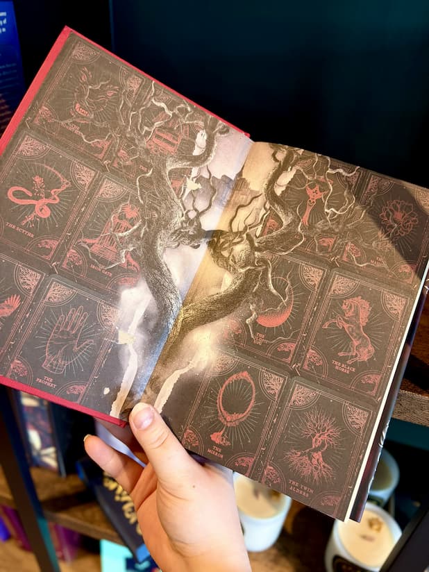 A hand holding a hardcover book titled "Two Twisted Crowns" by Rachel Gillig, showing the end pages. The pages are dark brown, black, red, and white with red symbols and a twisted tree.