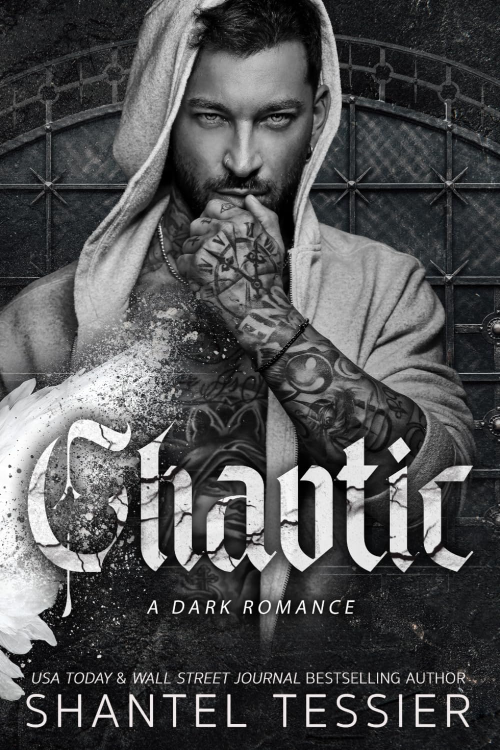 Chaotic by Shantel Tessier
